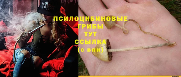 МДПВ Козловка