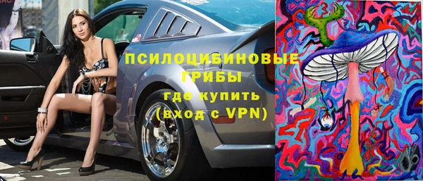 МДПВ Козловка
