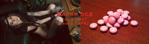 ПСИЛОЦИБИНОВЫЕ ГРИБЫ Кодинск
