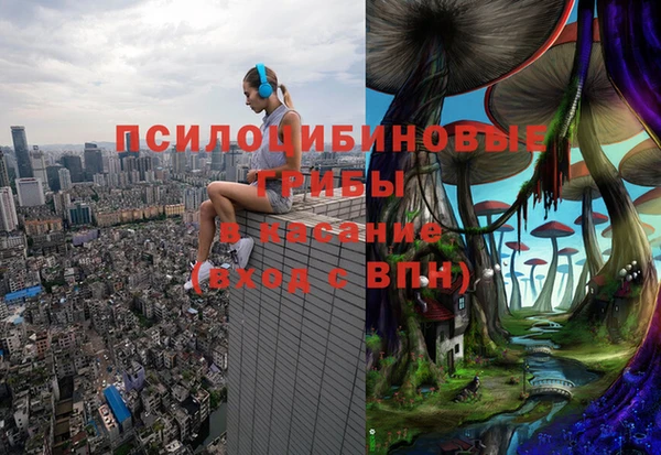 МДПВ Козловка
