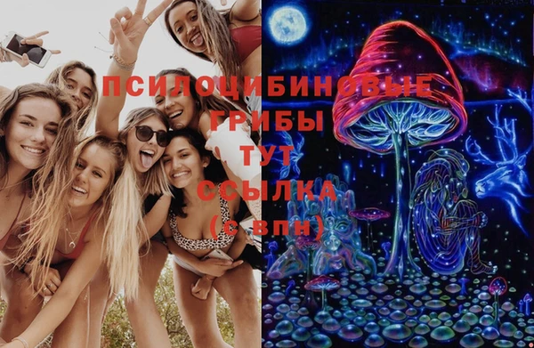 МДПВ Козловка
