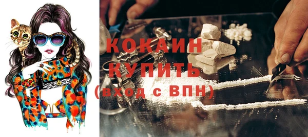 МДПВ Козловка