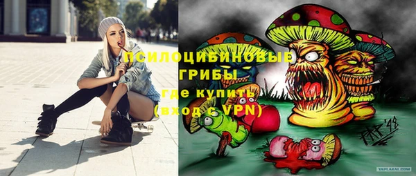 МДПВ Козловка