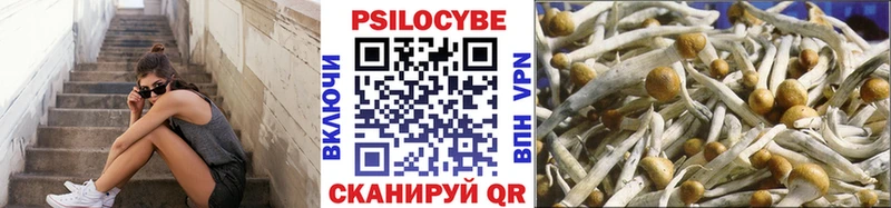 Купить закладки  Михайловск  Галлюциногенные грибы мухоморы 