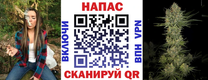 Бошки Шишки гибрид  Купить  Михайловск 